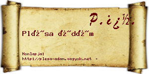 Plésa Ádám névjegykártya